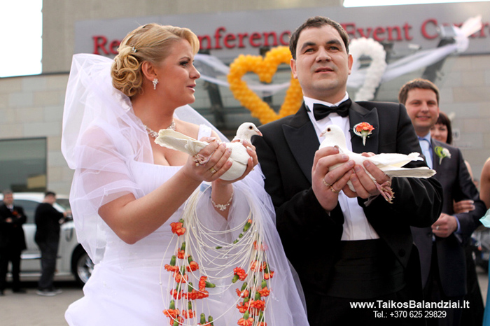 Balti balandiai vestuvse Vilniuje